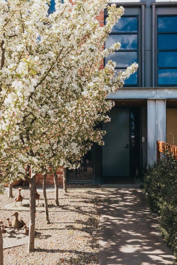 Mews Cottages Gisborne Exteriér fotografie